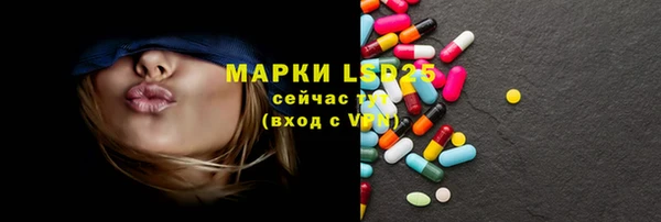 PSILOCYBIN Верея