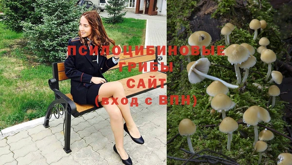 спайс Верхний Тагил