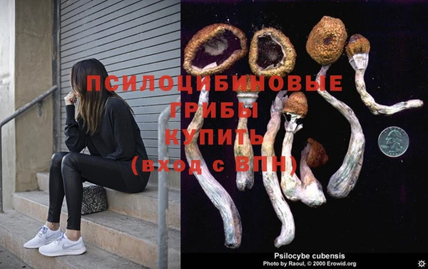 ешки Снежногорск