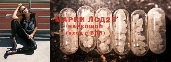 ешки Снежногорск