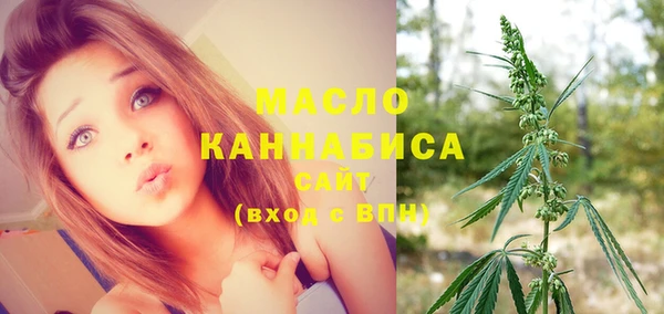ешки Снежногорск